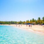 Pemandangan pantai dengan pasir, air biru, dan pohon palem.